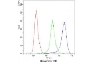 Flow cytometry testing of human U937 cells with Cyclophilin A antibody at 1ug/10^6 cells (blocked with goat sera)