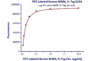 Immobilized Human BAFF, Fc Tag  with a linear range of 0.