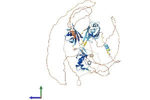 AlphaFold protein structure predicition of Human Recombinant DVL3 Protein, UniprotID Q92997 (DVL3 Protein (AA 1-716) (His tag))