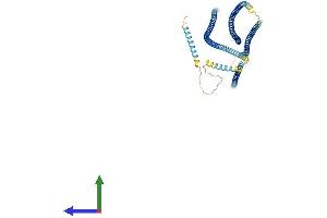 AlphaFold protein structure predicition of Mouse Recombinant Cep83 Protein, UniprotID Q9D5R3 (CCDC41 Protein (AA 1-692) (His tag))