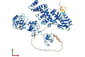 AlphaFold protein structure predicition of Human Recombinant G2E3 Protein, UniprotID Q7L622