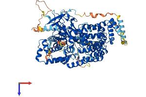 AlphaFold protein structure predicition of Human Recombinant SMYD4 Protein, UniprotID Q8IYR2