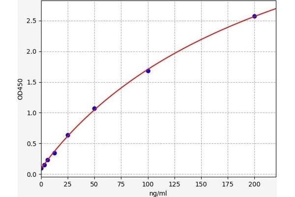 C1QTNF1 ELISA Kit