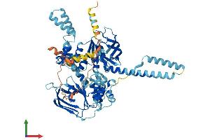 Protein Structure (PS) image for ATP-Binding Cassette, Sub-Family F (GCN20), Member 2 (ABCF2) (AA 1-628) protein (His tag) (ABIN7560365)