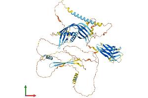 AlphaFold protein structure predicition of Mouse Recombinant C2cd2l Protein, UniprotID Q80X80 (C2CD2L Protein (AA 1-706) (His tag))