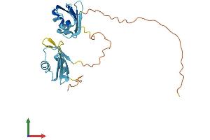 AlphaFold protein structure predicition of Mouse Recombinant Srsf9 Protein, UniprotID Q9D0B0 (SFRS9 Protein (AA 1-222) (His tag))