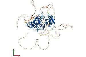 AlphaFold protein structure predicition of Mouse Recombinant Ttll3 Protein, UniprotID A4Q9E5