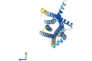 AlphaFold protein structure predicition of Mouse Recombinant Tas2r40 Protein, UniprotID Q7TQB8