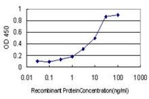 Detection limit for recombinant GST tagged TCP1 is approximately 0. (TCP1 alpha/CCTA antibody  (AA 1-556))