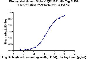 Immobilized Anti-Siglec-10 Antibody, hFc Tag at 1 μg/mL (100 μL/well) on the plate. (SIGLEC10 Protein (Arg119Ala-Mutant) (His-Avi Tag,Biotin))