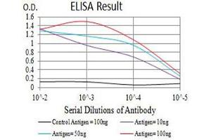 ELISA image for anti-Elastase, Neutrophil Expressed (ELANE) (AA 140-267) antibody (ABIN5611332)