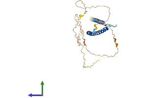 Protein Structure (PS) image for Transcription Factor EC (TFEC) (AA 1-317) protein (His tag) (ABIN7556250)