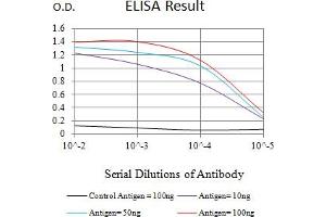 Black line: Control Antigen (100 ng),Purple line: Antigen (10 ng), Blue line: Antigen (50 ng), Red line:Antigen (100 ng) (RRM1 antibody  (AA 541-792))