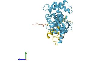 AlphaFold protein structure predicition of Human Recombinant SCGN Protein, UniprotID O76038