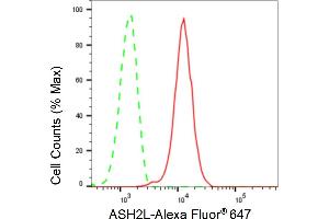 Flow cytometric analysis of ASH2L expression in C2C12 cells using ASH2L antibody (ABIN7800326), 1:2,000). (Recombinant ASH2L antibody)