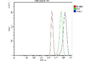 Flow Cytometry analysis of MCF-7 cells using anti-RAGE/AGER antibody (ABIN7601722). (RAGE antibody  (AA 43-404))
