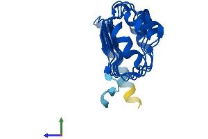 AlphaFold protein structure predicition of Human Recombinant LRRC20 Protein, UniprotID Q8TCA0