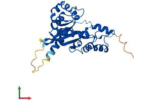 AlphaFold protein structure predicition of Mouse Recombinant Nmnat3 Protein, UniprotID Q99JR6 (NMNAT3 Protein (AA 1-245) (His tag))