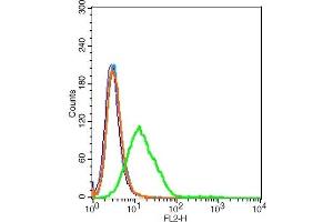 HEK 293T cells probed with Insulin receptor subunit beta Antibody, Unconjugated  at 1:20 for 30 minutes followed by incubation with a conjugated secondary (PE Conjugated) (green) for 30 minutes compared to control cells (blue), secondary only (light blue) and isotype control (orange). (ISR-beta antibody  (AA 801-900))