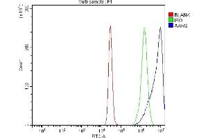 Flow Cytometry analysis of K562 cells using anti-AlaRS/AARS1 antibody (ABIN7602380). (Alanine--tRNA Ligase, Mitochondrial (AARS-1) (AA 729-968) antibody)