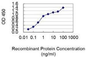 Detection limit for recombinant GST tagged GDF5 is 0. (GDF5 antibody  (AA 28-127))