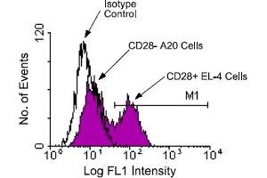 Flow Cytometry (FACS) image for anti-CD28 (CD28) antibody (FITC) (ABIN370907)
