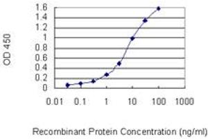 Detection limit for recombinant GST tagged CLEC2D is 0. (CLEC2D antibody  (AA 1-154))