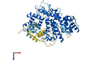 PLS1 Protein (AA 1-630) (His tag)