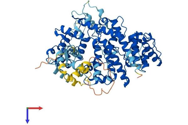PLS1 Protein (AA 1-630) (His tag)