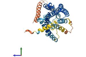 AlphaFold protein structure predicition of Human Recombinant OR13C3 Protein, UniprotID Q8NGS6 (OR13C3 Protein (AA 1-347) (His tag))