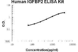 Human IGFBP2 PicoKine ELISA Kit standard curve