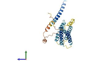 AlphaFold protein structure predicition of Human Recombinant TMEM98 Protein, UniprotID Q9Y2Y6