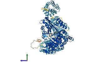 AlphaFold protein structure predicition of Human Recombinant NLRC4 Protein, UniprotID Q9NPP4 (NLRC4 Protein (AA 1-1024) (His tag))