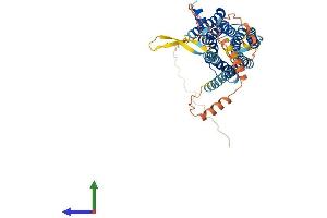 Protein Structure (PS) image for Dopamine Receptor D2 (DRD2) (AA 1-444) protein (His tag) (ABIN7556574)