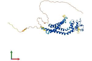 AlphaFold protein structure predicition of Human Recombinant TSPAN10 Protein, UniprotID Q9H1Z9 (TSPAN10 Protein (AA 1-355) (His tag))