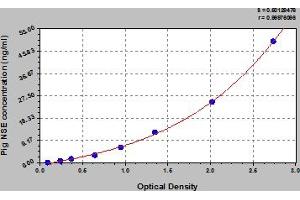 Typical Standard Curve (ENO2/NSE ELISA Kit)