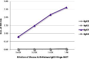 ELISA plate was coated with purified human IgG1, IgG2, IgG3, and IgG4. (Mouse anti-Human IgG3 (Hinge Region) Antibody (Biotin))