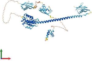 AlphaFold protein structure predicition of Mouse Recombinant Faf1 Protein, UniprotID P54731
