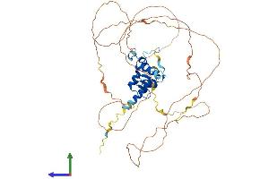 AlphaFold protein structure predicition of Mouse Recombinant Agfg2 Protein, UniprotID Q80WC7