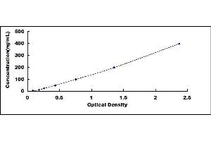 ORM1 ELISA Kit