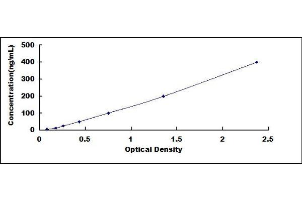 ORM1 ELISA Kit