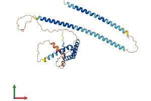 AlphaFold protein structure predicition of Human Recombinant MSANTD4 Protein, UniprotID Q8NCY6 (MSANTD4 Protein (AA 1-345) (His tag))