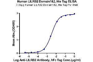 Immobilized Human LILRB2 Domain1&2, His Tag at 0. (LILRB2 Protein (AA 22-229) (His tag))