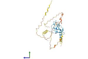 AlphaFold protein structure predicition of Human Recombinant OSR1 Protein, UniprotID Q8TAX0 (OSR1 Protein (AA 1-266) (His tag))