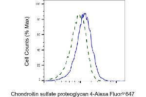 Validation of Chondroitin sulfate proteoglycan 4 knockdown using flow cytometry. (Recombinant NG2 antibody)