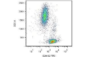 Surface staining of human peripheral blood cells by mouse monoclonal anti-beta2-microglobulin antibody B2M-02 . (beta-2 Microglobulin antibody)