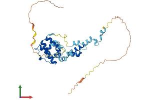 AlphaFold protein structure predicition of Mouse Recombinant Spata4 Protein, UniprotID Q8K3V1 (SPATA4 Protein (AA 1-295) (His tag))