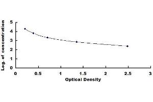 Glycated Albumin (GA) ELISA Kit