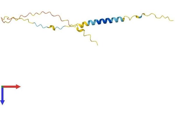 BEX4 Protein (AA 1-120) (His tag)