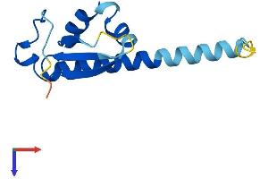 Developmental Pluripotency Associated 5A (DPPA5A) (AA 1-118) protein (His tag)